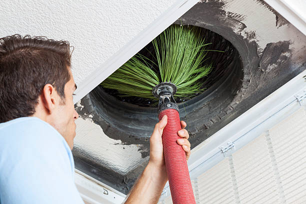 Best Affordable Duct Cleaning Services  in Doylestown, OH